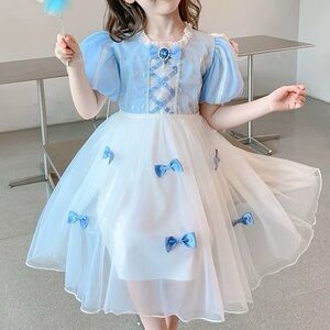 Elsa frozen blue princess dress